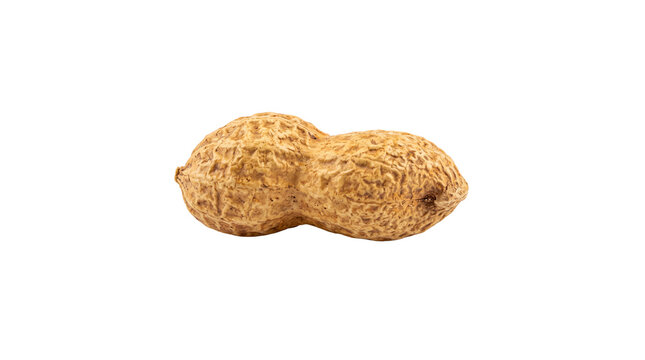 Freshly Toasted Peanuts with Crispy Golden Shell and Natural Texture Isolated on White Background
