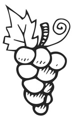 Obraz premium Grape doodle. Vineyard symbol. Winery line drawing