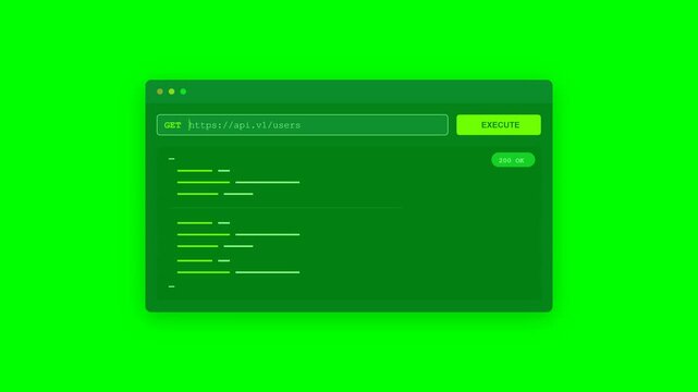 API Documentation Interface Motion Graphic with GET Request and JSON Response Line Art