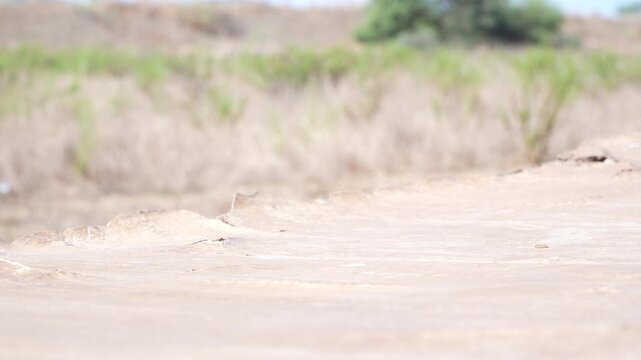 close up of a taking off drone