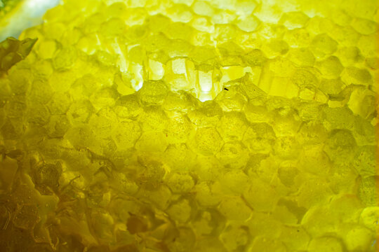 Close-Up Texture of Golden Honeycomb with Fresh Honey