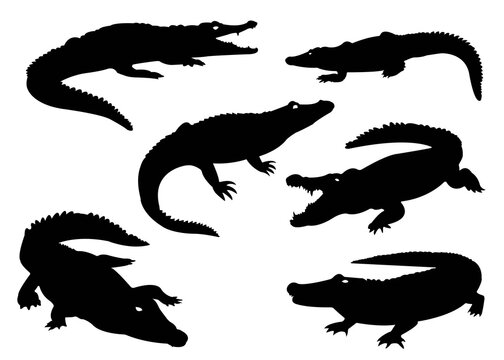 set of dragons silhouettes