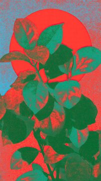 Aucuba japonica plant with green leaves against a vibrant red sun circle and textured background