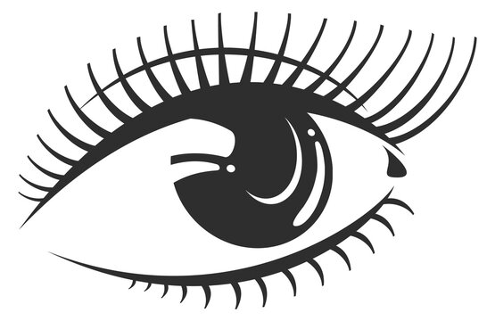 A close up of an eye with long lashes