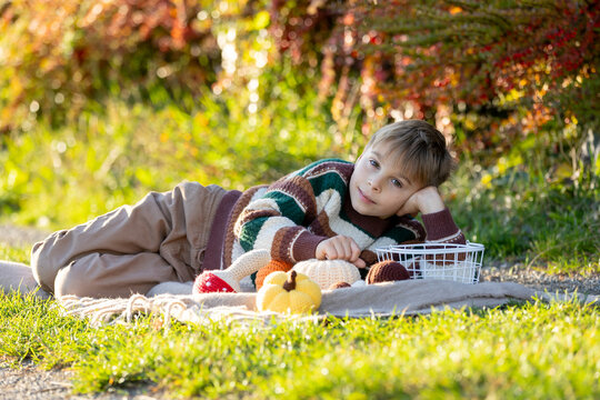 Adorable little child, boy in park on autumn day, beautiful sunny day, pumpkins and mushroom decoration