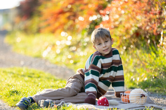 Adorable little child, boy in park on autumn day, beautiful sunny day, pumpkins and mushroom decoration