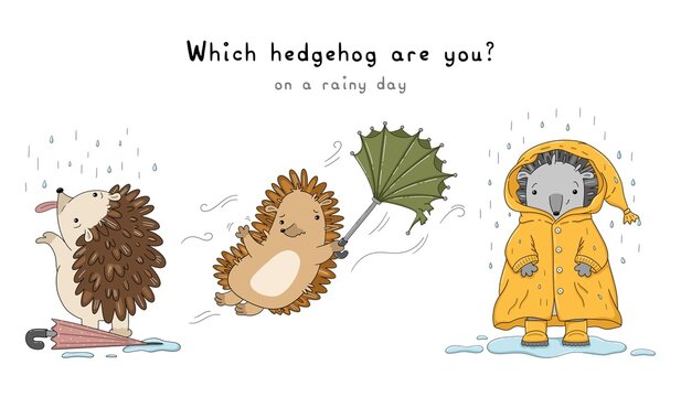 Which hedgehog are you on a rainy day? Three humorous characters react differently to wet weather: enjoying raindrops, fighting the wind, or hiding in a raincoat.