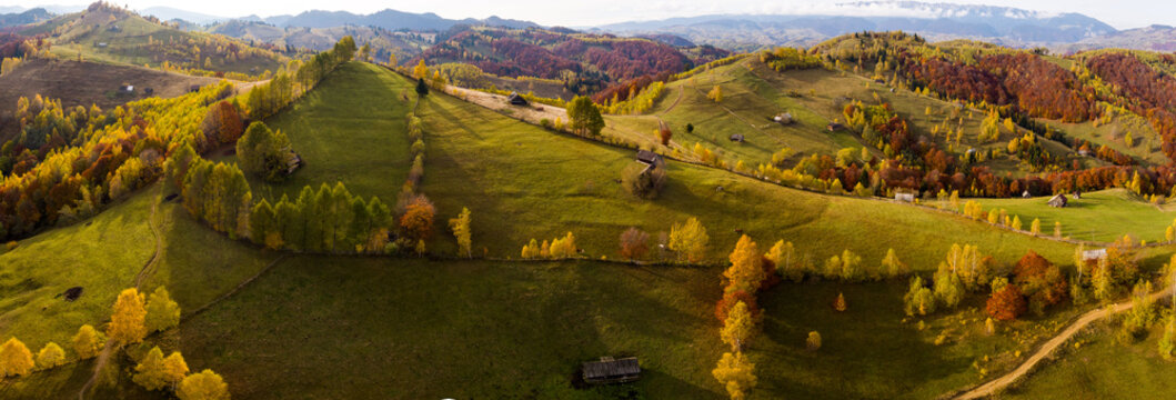 Aerial view of rolling hills and meadows in autumn with vibrant fall foliage, scattered wooden huts, and winding dirt paths in the countryside of Bran, Brasov, Romania.