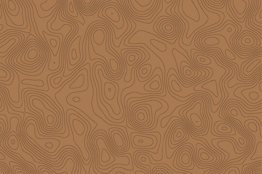Abstract topographic background with lines map contour effect. Brown geographic pattern with relief altitude and wavy linear elevation assignments, navigation mapping landscape. Vector illustration.