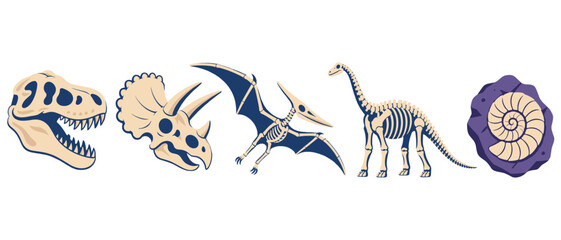 Prehistoric dinosaur skulls and skeletons with ammonite fossil © Artstock