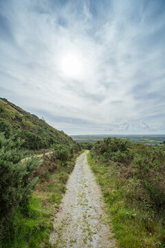 Gravel footpath winding through gorse and heather landscape near Blackpool Lake clay pits, Cornwall