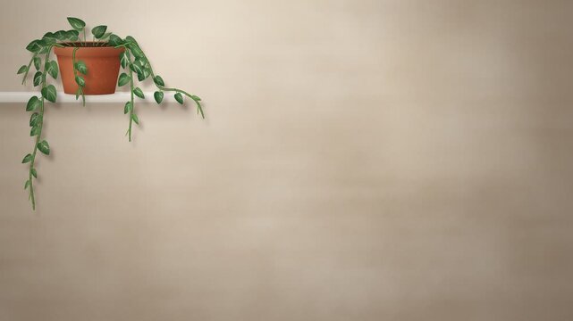 Pothos Houseplant Vine Trailing Growth From Shelf Time Lapse Animation