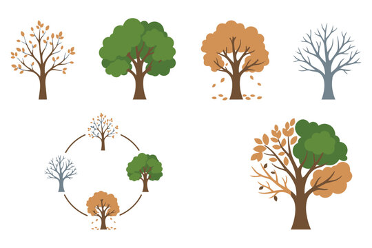 Collection of seasonal tree icons representing four seasons and annual cycle with environment illustration botanical landscape transition