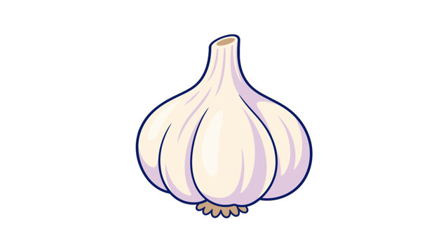 Cartoon garlic bulb with pale cloves and purple outline