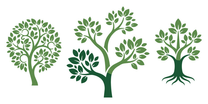 Three different stylized tree vector designs with foliage and roots illustration botanical abstract woodland landscape environment structure