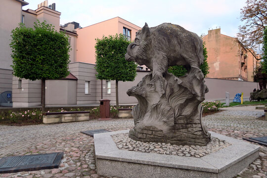 Kielce, Poland. Statue of a boar called "Kiełek" (Polish: Pomnik Dzika w Kielcach) Kielce in Artists' Square. Created by Bolesław Michałek and inaugurated on November 6, 2006.