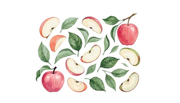 Fresh red apples hand drawn vector illustration set featuring realistic whole fruit sweet slices and detailed green textured orchard leaves