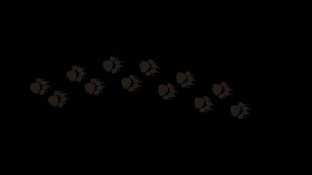 Dog dark paw prints looping animation on transparent background