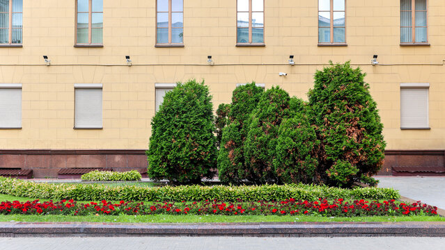 Bright green lawn with lush trees near modern building, beautiful landscape.