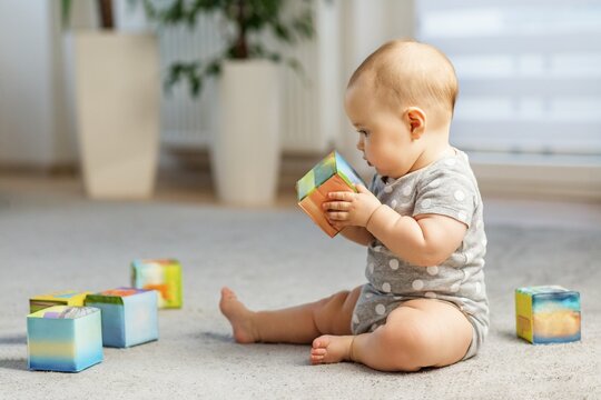 Baby sitting examining colorful building block indoors