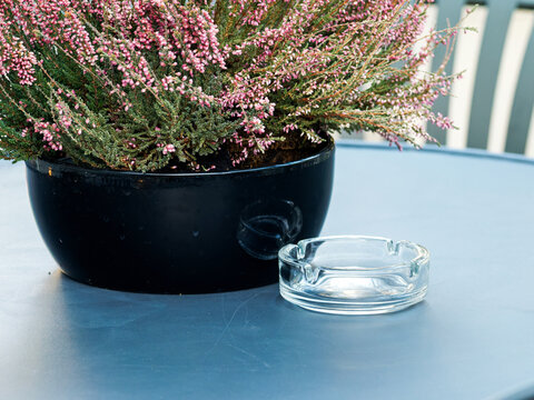 Bruy&egrave;re rose et violette en pot avec cendrier en verre sur une table de terrasse lors d&rsquo;une r&eacute;ception &eacute;v&eacute;nementielle