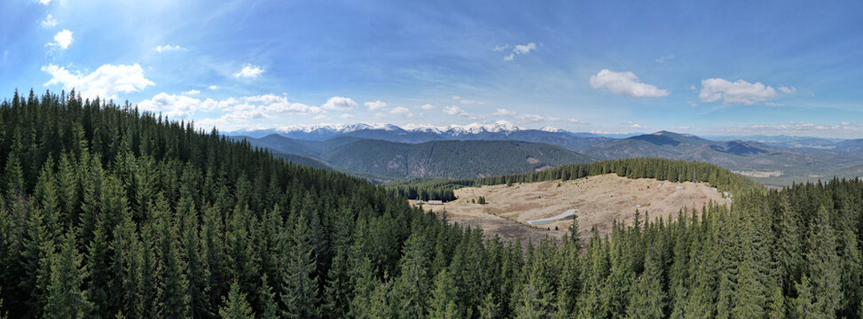 Beautiful wide panoramic view of snow-capped mountain range rising above deep green spruce forests and alpine meadow