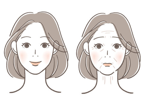 老化する前と後の女性の顔