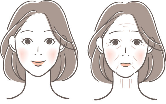 老化する前と後の女性の顔