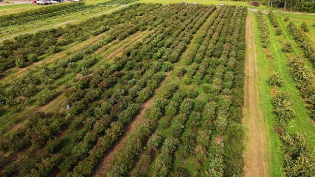 Aerial views of lush farmland in Nova Scotia, Canada