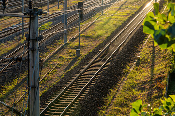 Railway lines with electric power poles along green grass. Golden evening sun reflects off steel rails, creating a scenic atmosphere for transport themes © Razbitnov