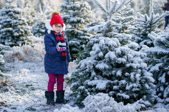 Small girl playing with snow. Happy preschool child in winter forest on snowy cold december day.