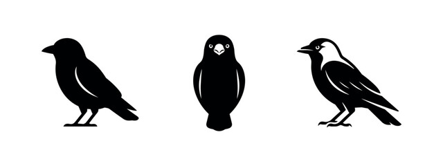 Obraz premium Jackdaw Bird Silhouette Icon Set