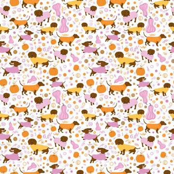 Small scale repeating seamless pattern with dachshund dogs in knitted sweaters and autumn pumpkins.