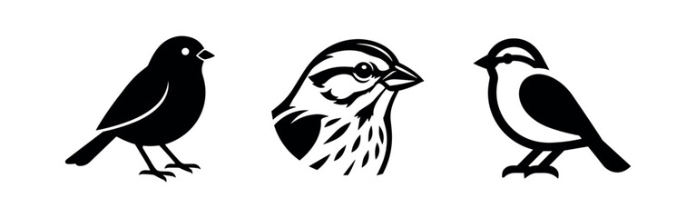 Fototapeta premium Sparrow head profile and full body silhouettes set of garden bird wildlife graphics
