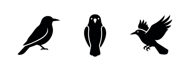 Obraz premium Black Raven and Crow Bird Silhouettes