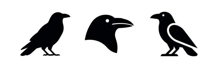 Obraz premium Raven Head and Crow Body Silhouettes