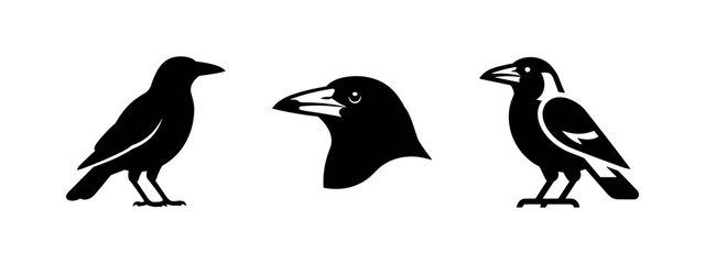 Obraz premium Magpie and crow bird silhouettes, minimalist black and white vector illustration set