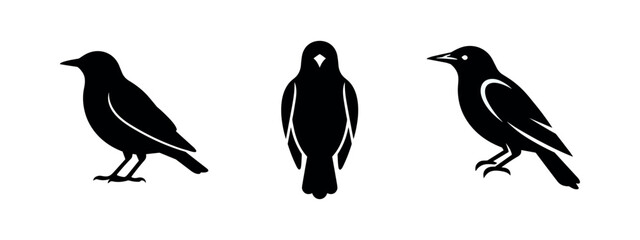 Fototapeta premium Starling and blackbird silhouette set, minimalist vector icons for ornithology themes