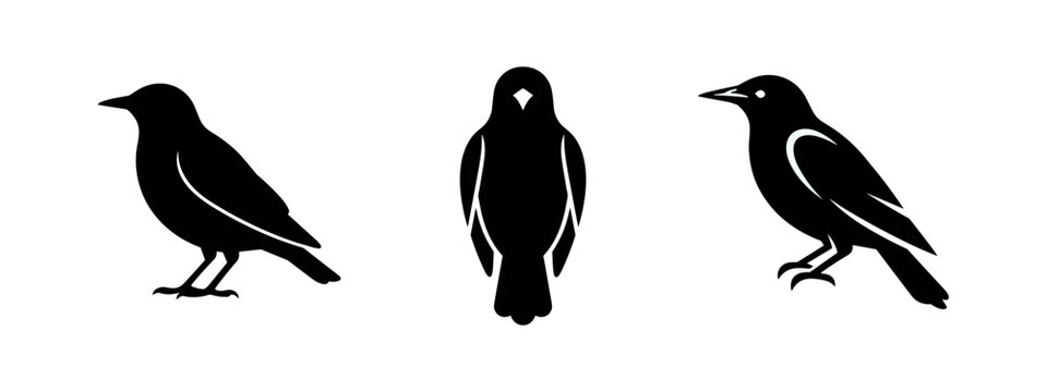 Starling and blackbird silhouette set, minimalist vector icons for ornithology themes