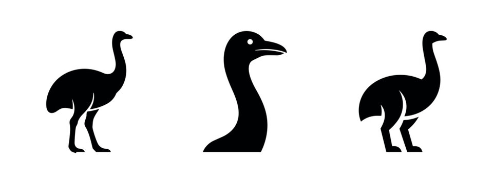 Emu and moa flightless bird silhouette set, minimalist vector icons for wildlife design