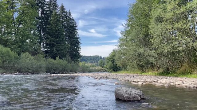 Shallow river flowing past rocky banks through dense green forest under soft blue sky