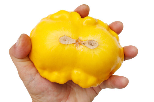 A hand holds a round, yellow pattypan squash with a bumpy surface and a green stem against a white background.