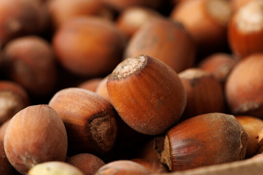 Close-up of brown, textured hazelnuts in a pile