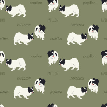 Seamless pattern with black and white Papillon dogs and handwritten breed lettering on sage olive green background. Cute toy spaniel vector repeat