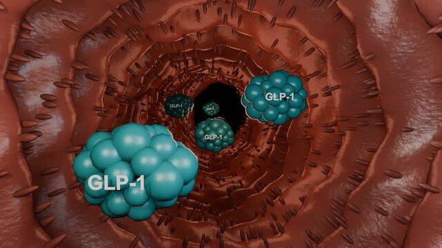 3D Render of GLP-1 Peptide Molecules in the Intestinal Tract