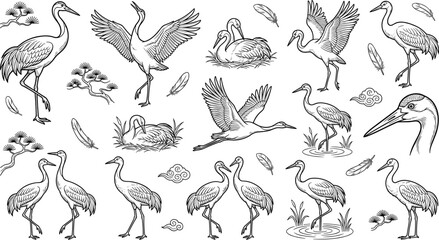 Obraz premium Hand Drawn Crane Bird Line Art Collection with Flying, Standing, Nesting, Wading, Feeding, Feathers, and Elegant Wildlife Illustrations