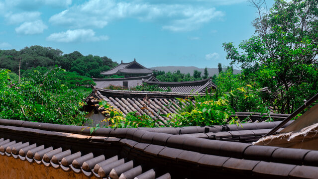 Trip in Korea 