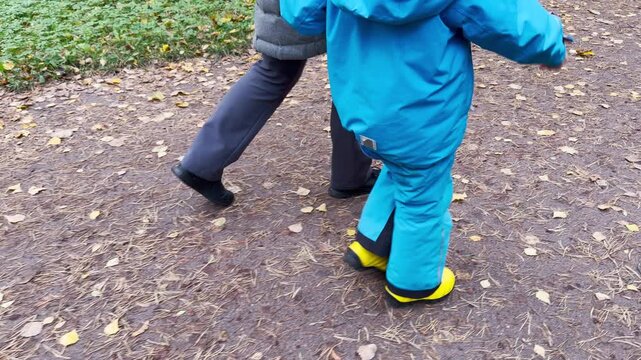 A child in a bright blue suit walks on an autumn path in Pavlovsk, Saint Petersburg. The cheerful stroll brings a happy feeling of carefree joy.