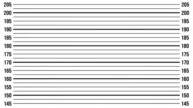 Detailed police mugshot height chart vector graphic illustration with measurements from 145 to 205