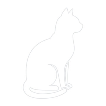 White cat sitting in relaxed pose